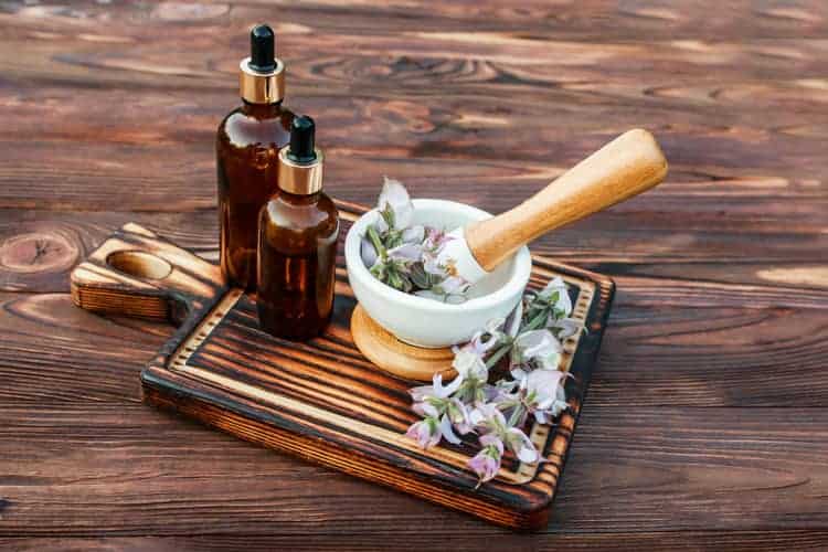 clary sage essential oil and plant