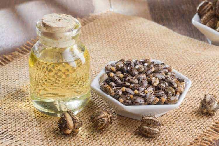 castor seeds and oil