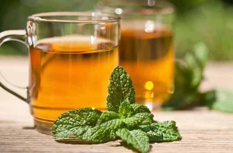 peppermint tea and fresh mint leaves