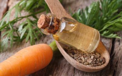 The Difference Between Carrot Oil and Carrot Seed Oil