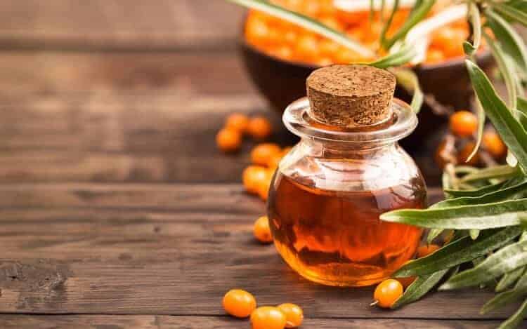 sea buckthorn oil and berries