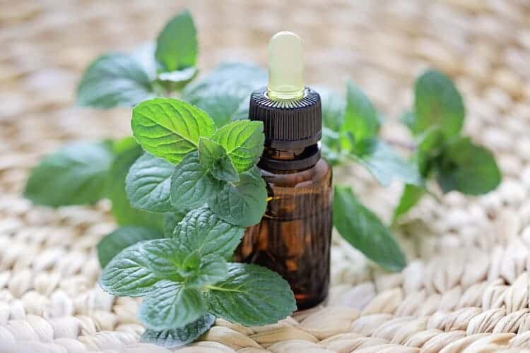 bottle of peppermint oil