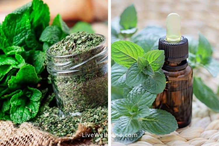 mint leaves and oil for sore throat