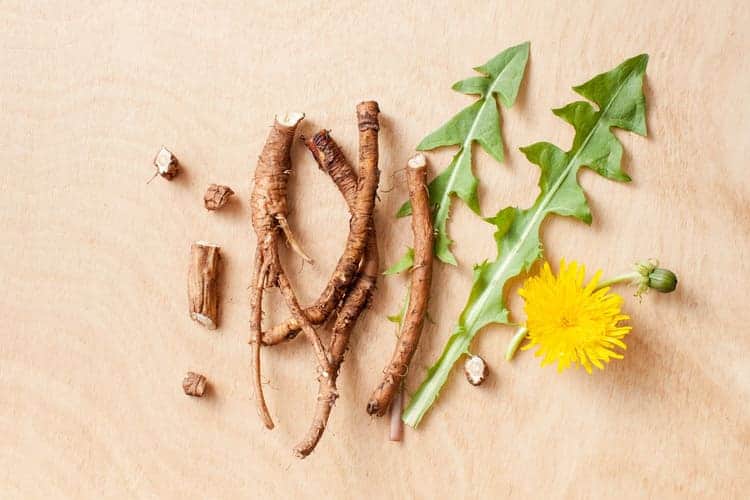 dandelion root and leaf