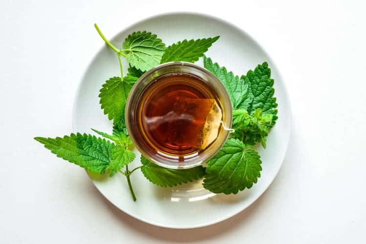 nettle leaf and tea