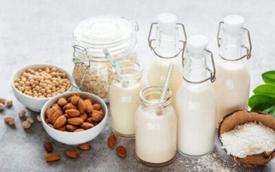 Best Milk For Menopause: Dairy vs Plant-Based