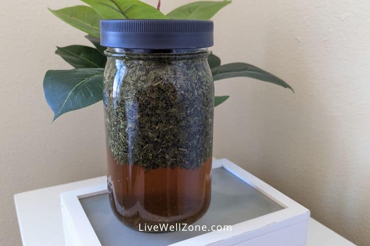 nettle leaf tea in a jar