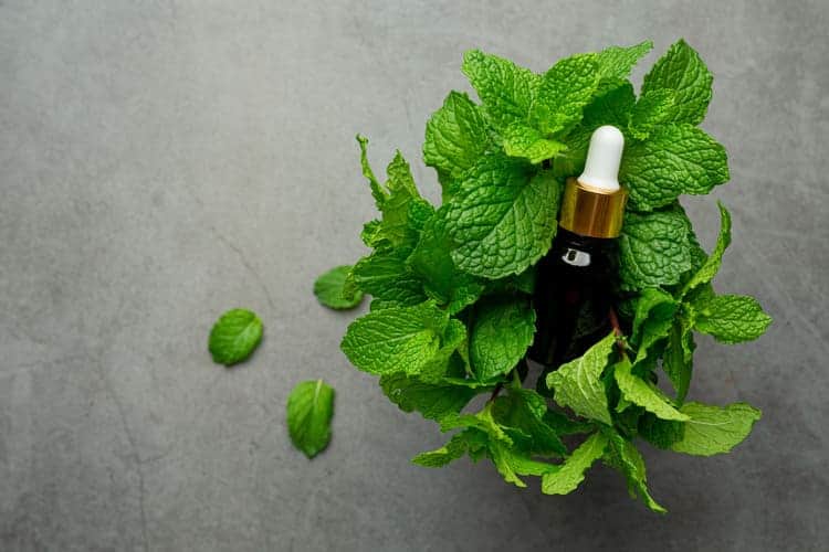 How To Use Peppermint Oil For Hot Flashes