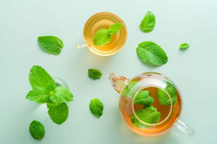 overhead view of mint tea and leaves